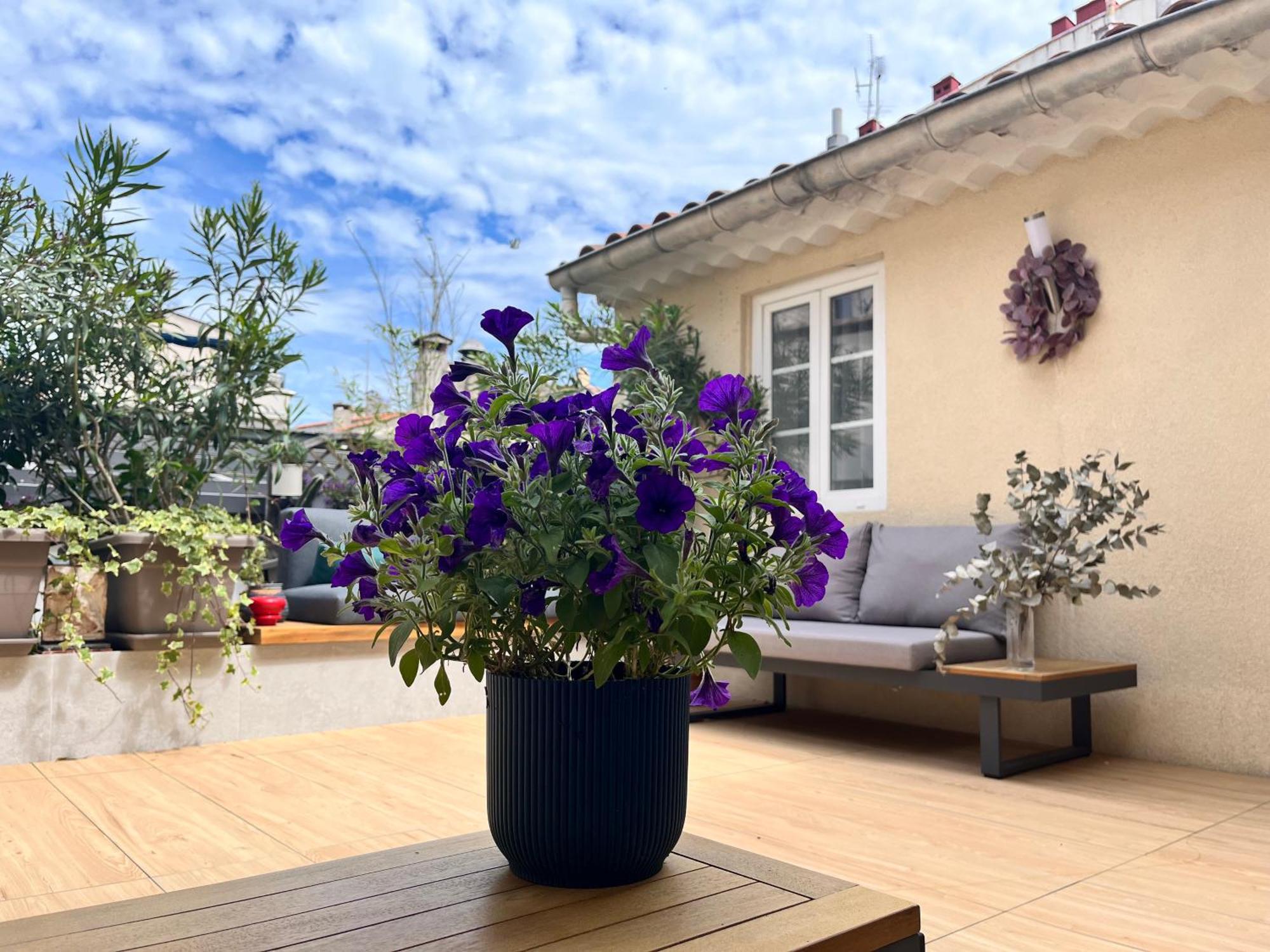 Irin Hotel Antibes Dış mekan fotoğraf